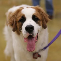 photograph by PeterW